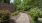 a path with trees and plants on the side