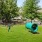 a large green park with a blue trampoline and trees